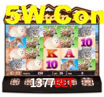 Sinta a adrenalina dos jogos de cassino com 1377BET